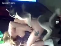 [ Zoo XXX ] Husky pumps blond